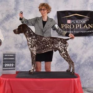 Meet your Posher, Ron